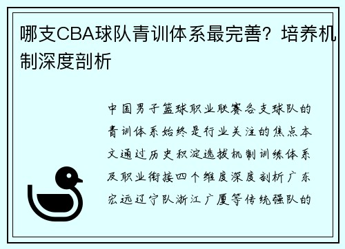 哪支CBA球队青训体系最完善？培养机制深度剖析