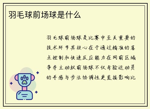 羽毛球前场球是什么